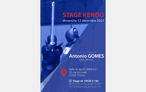 Stage Kendo Tours